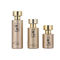 30ml 50ml 100ml Decorative Perfume Bottles Alluminum Gold Sprayer Glass bottle with Atomizer